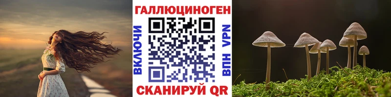 цены наркотик  Балашов  площадка как зайти  Псилоцибиновые грибы ЛСД 